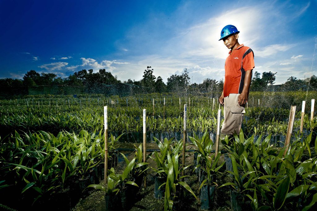 Sukanto Tanoto - Planting the Seeds of Indonesia's Palm Oil Industry